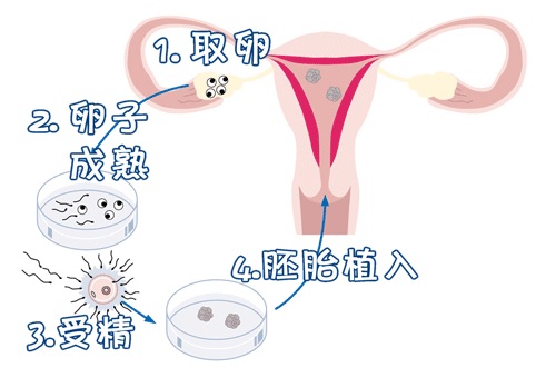 クリニック環境